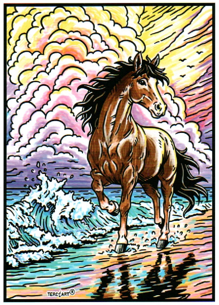 Cheval sur la plage à colorier en velours grand format — tableau en relief Terciart