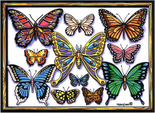 Photo d’un tableau à colorier en relief motif collection de papillons colorés.