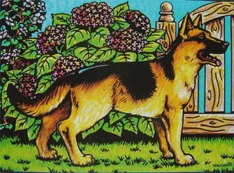 Photo d’un tableau à colorier en relief motif chien berger dans un jardin fleuri.