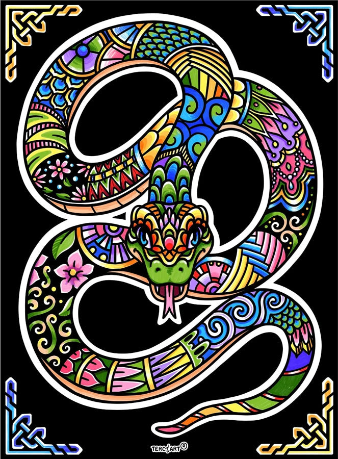 Photo d’un tableau à colorier en relief motif serpent décoratif multicolore.